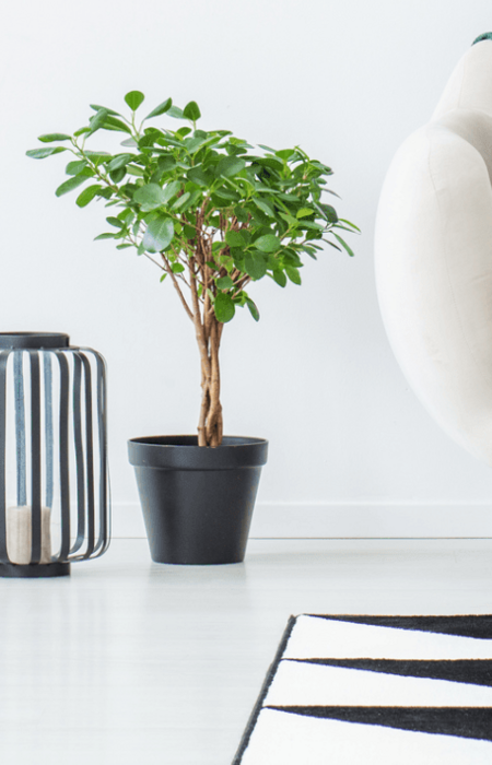 Créateur, décorateur et aménageur