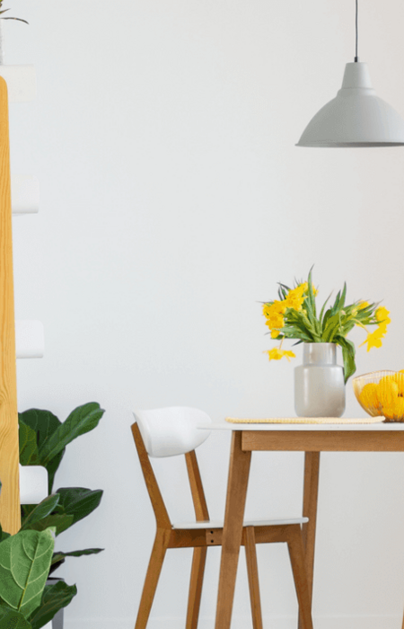 Créateur, décorateur et aménageur